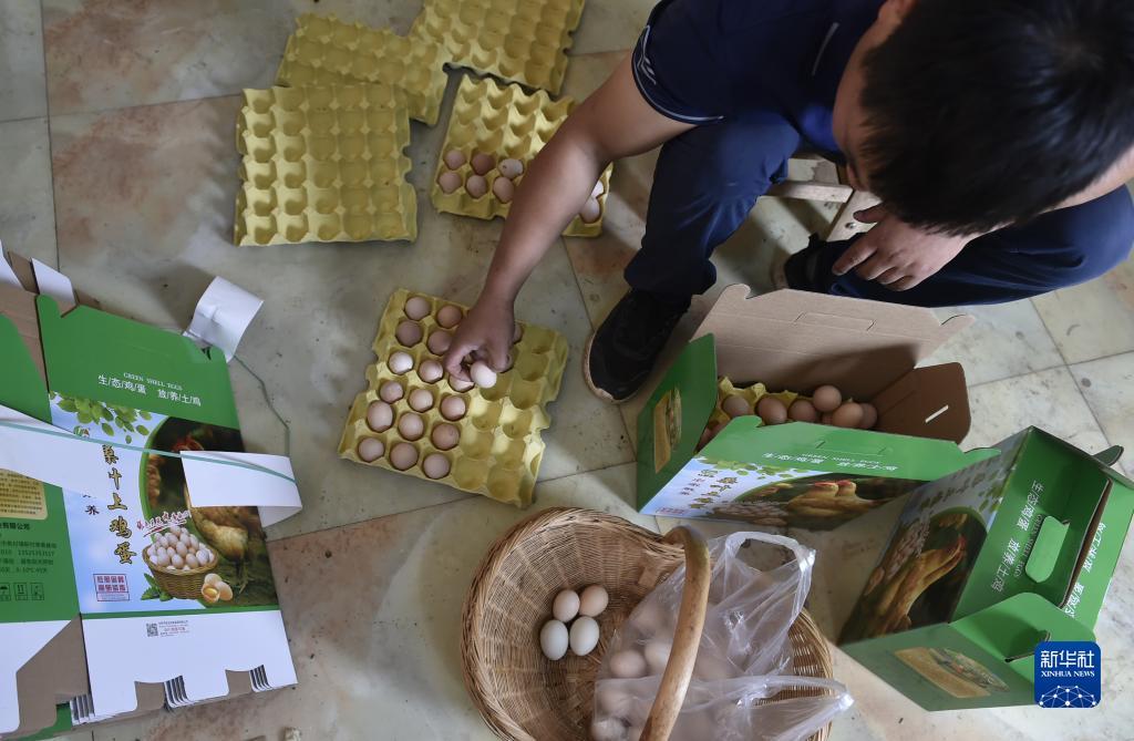 金猴爷老虎机下分
